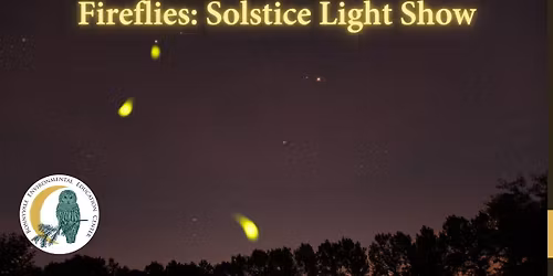Fireflies: Solstice Light Show