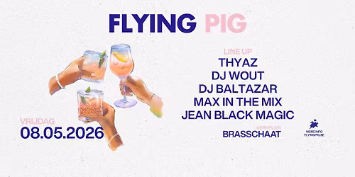 Flying Pig: Brasschaat
