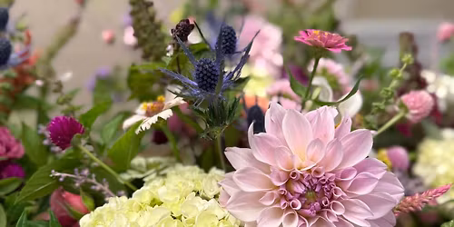 Charlotte Dahlia Swap & Sale