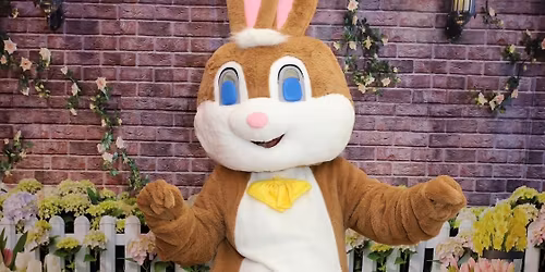 The Easter Bunny \ud83d\udc30 