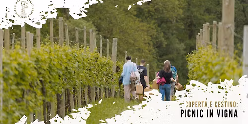 PICNIC IN VIGNA, sulle Rive con coperta e cestino