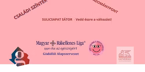 VII. G\u00f6d\u00f6ll\u0151 V\u00e1rosi Eg\u00e9szs\u00e9g \u00e9s Sz\u0171r\u0151nap