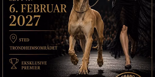 SPEKTAKUL\u00c6RT HUNDESHOW