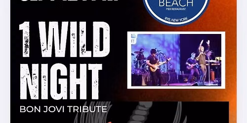 1 Wild Night Bon Jovi Tribute at Rye NY's Tiki Beach Pier Sept 12, 7pm!