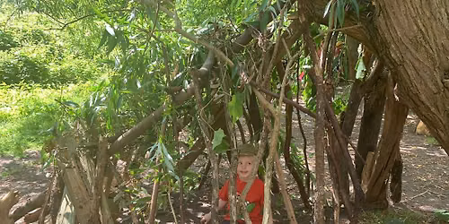 Den building, balancing and tree climbing