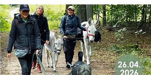 Tiergest\u00fctzte Wanderung mit Eseln