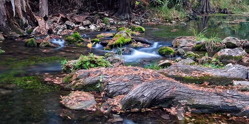 Honey Creek Guided Walks with Ranger Gil