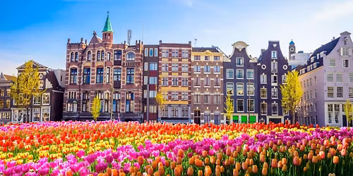 AMSTERDAM ED I MULINI A VENTO IN VOLO 