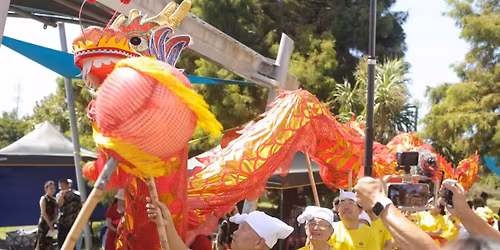 Whau Dragon Boat Festival 