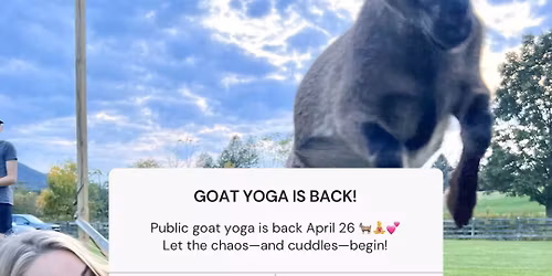 Goat Yoga at Nittany Meadow Farm