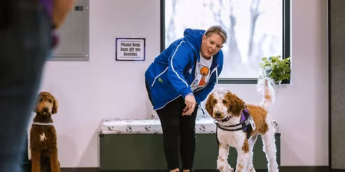 Public Obedience Classes - General Class