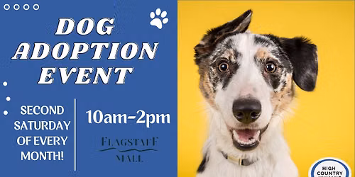 Flagstaff Mall Monthly Adoption Event
