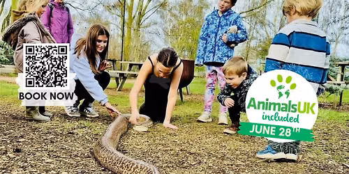 \ud83e\udd8e\ud83d\udc0d AnimalsUK Animal Encounters at Tattershall Farm Park \ud83d\udc0d\ud83e\udd8e