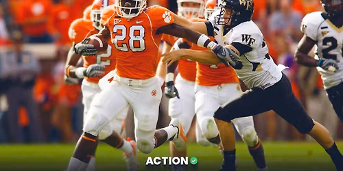 Wake Forest Demon Deacons at Clemson Tigers Womens Basketball at Littlejohn Coliseum
