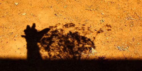 Proyecci\u00f3n comentada | Jard\u00edn. Narrativas de migraci\u00f3n y territorio