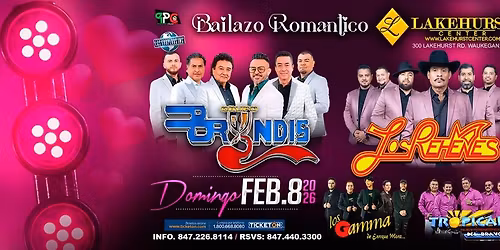 LOS REHENES, GRUPO BRYNDIS & MAS