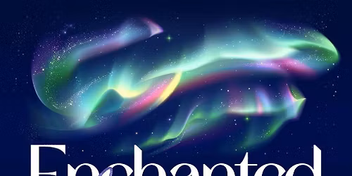 Himley Hall Christmas Light Trail - SEN NIGHT