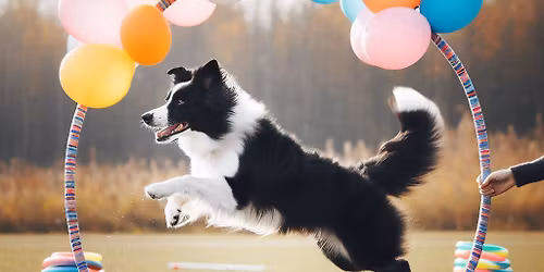 Hoopersi treeningv\u00f5istlus