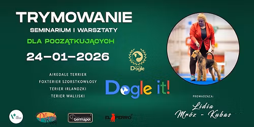 TRYMOWANIE Terier\u00f3w Szorstkow\u0142osych - dla pocz\u0105tkuj\u0105cych