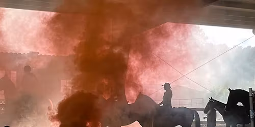 Mounted Police Training and De-Spooking Clinic