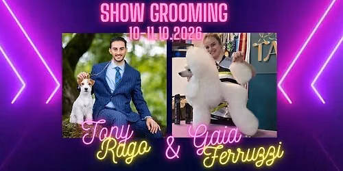 Show grooming - Trymowanie & Pudel Puppy Clip