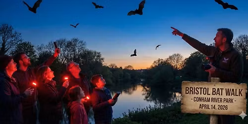 \ud83e\udd87 Bristol Bat Walk \ud83c\udf19