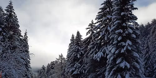 50\u00e8me Ski Club V\u00e9troz 