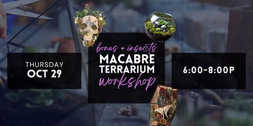 BONE + INSECT MACABRE TERRARIUM WORKSHOP
