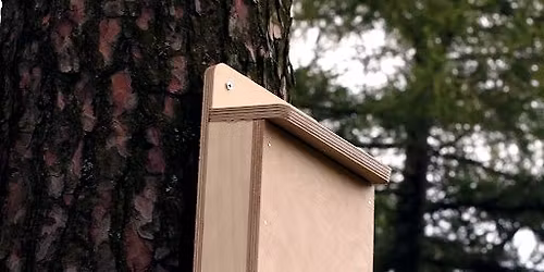 Build a Bat Box with Blithewold\u2019s Horticulture Gardens and Grounds Staff