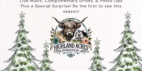 VIP Christmas Experience