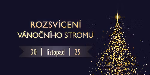 Rozsv\u00edcen\u00ed v\u00e1no\u010dn\u00edho stromu