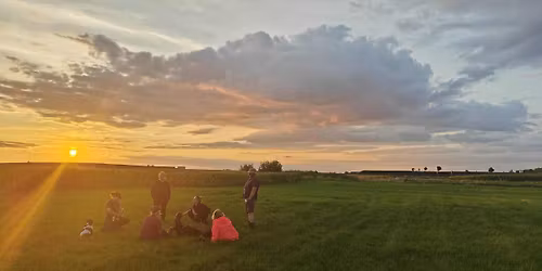 Komunikacja ps\u00f3w i rola cz\u0142owieka - analiza film\u00f3w, spacer, u\u017cywanie smyczy, emocje