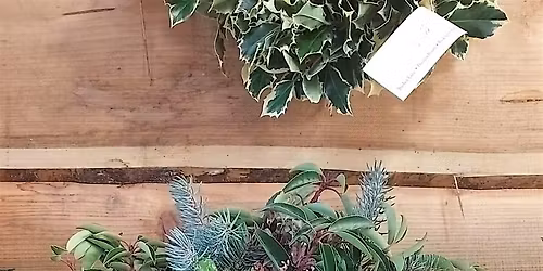 2026 Holly Wreath 2nd Workshop - Saturday 28th November