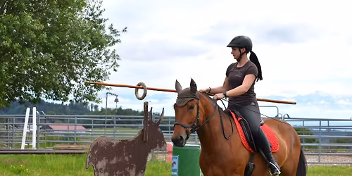 Working Equitation Kurs