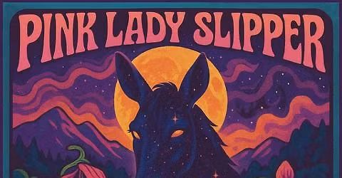 Gov't Mule After Party with Pink Lady Slipper