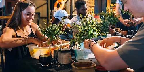 Bonsai Workshop at The Brewhouse Gallery