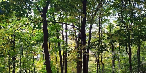 Riverwood Conservancy