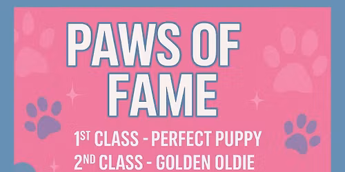 Paws Of Fame! Fun Dog Show