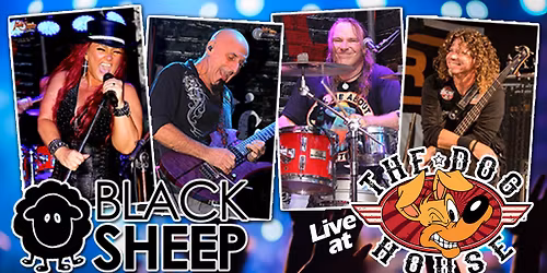 Black Sheep Rocks the Doghouse