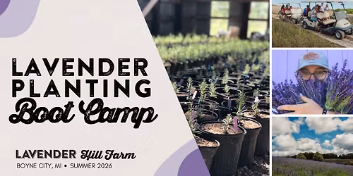 Lavender Planting Bootcamp