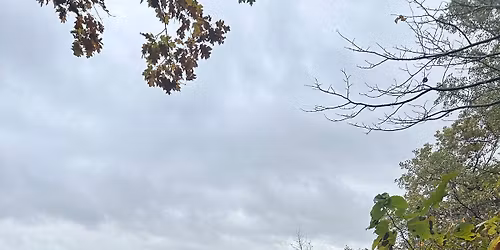 Spring Hike and Lunch