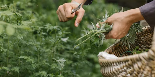 Survival and Scavenging Skills: Family Program (ages 8+), $4 per person