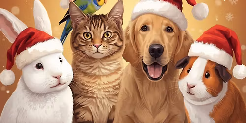 Pet Pictures with Santa 