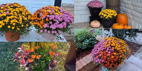 Popup: Shanny's Plant Shack! 