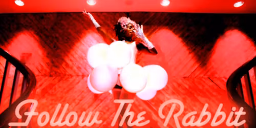 Follow The Rabbit... (9PM) 