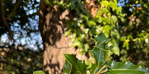 Swanage Hospital Autumn Fayre