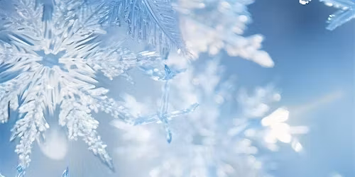 Frozen Holiday Med Spa Event