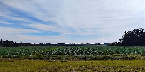 TCAA pesticide exam preparations and CEUs