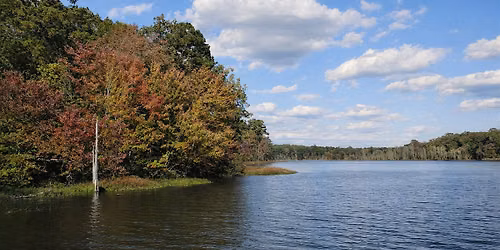 Nature Therapy Walk: A Guided Outdoor Reset