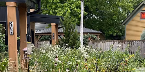 Outdoor Plant Walk\/Classes with Botany CEO Ben